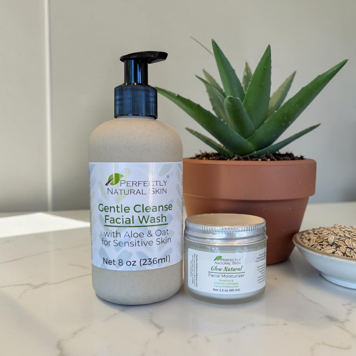 Daily Facial Routine Bundle | Natural Facial Wash & Moisturizer Set|Facial Care