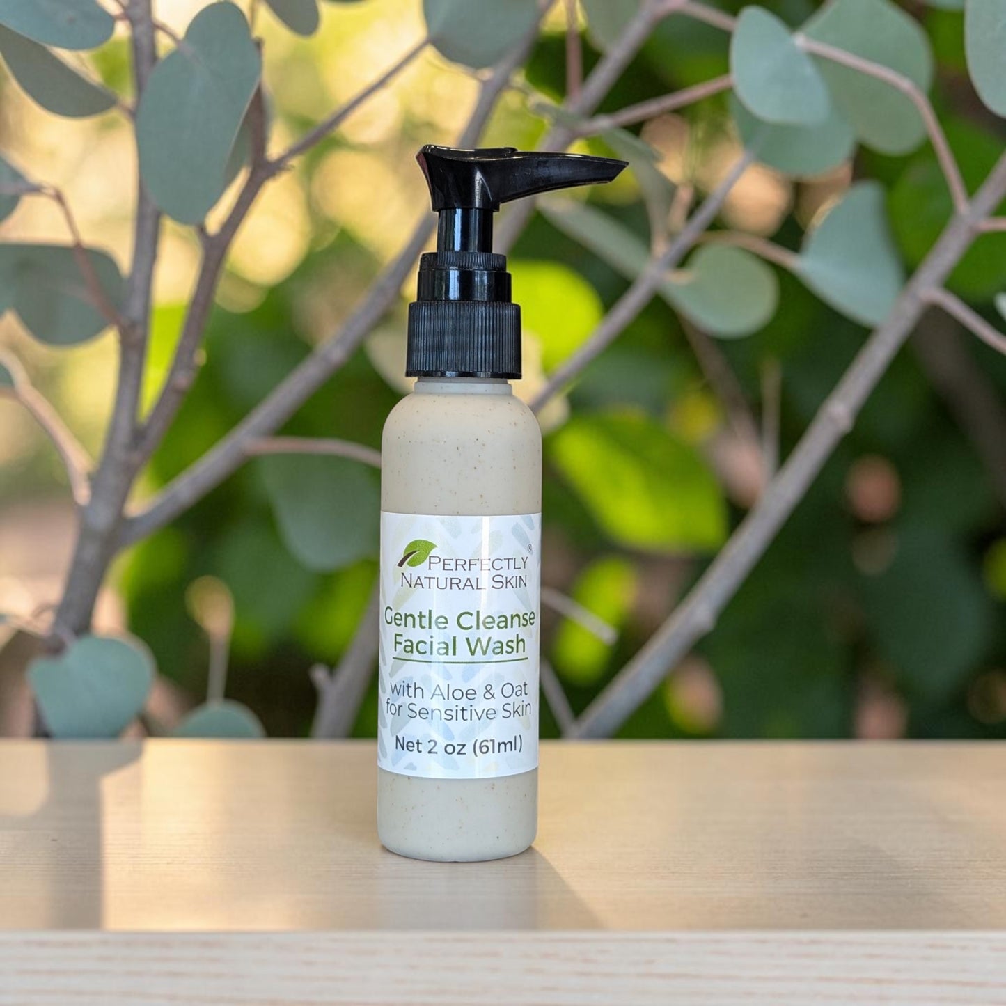 Gentle Cleanse Facial Wash with Aloe & Oat