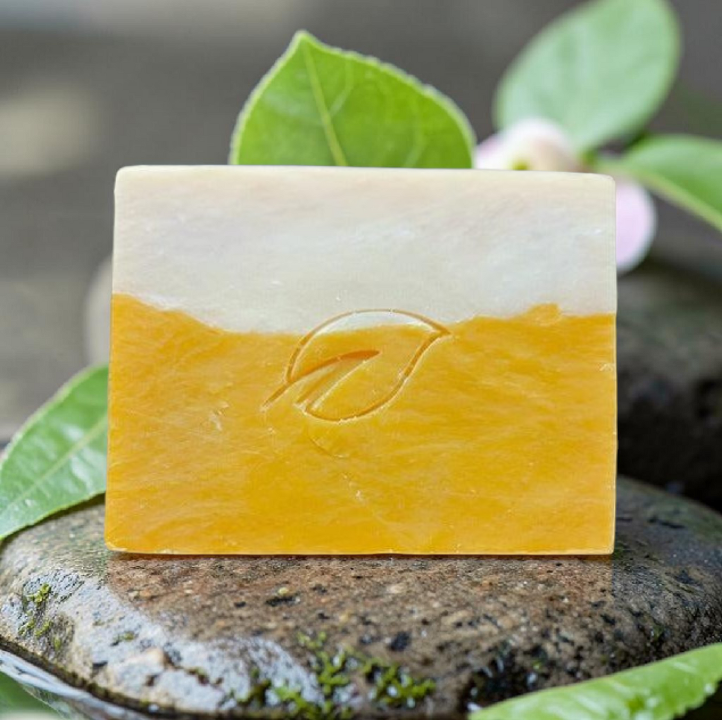 Coconut Lemongrass Natural Soap Bar 4oz | Tropical Seasonal | Perfectly Natural|Bar Soap