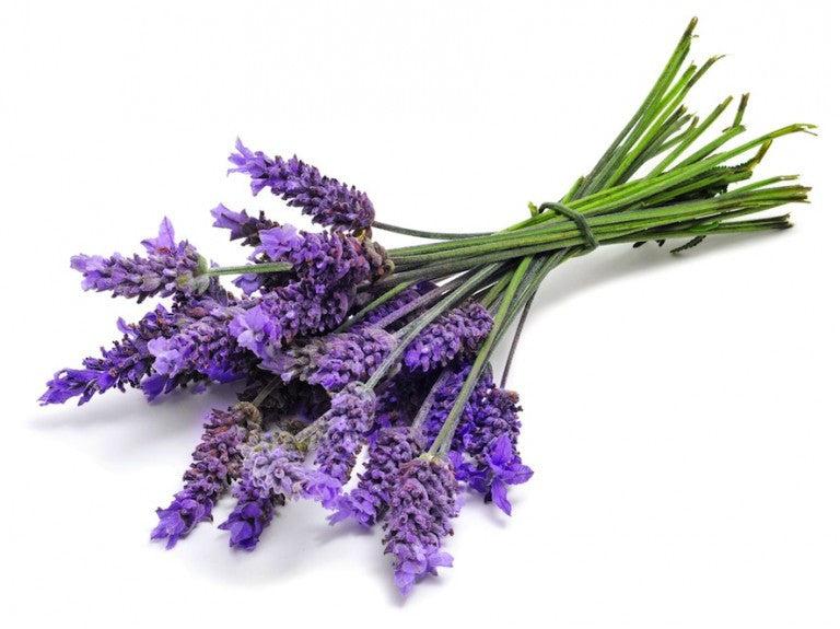 Product Highlight : Lavender Essential Oil