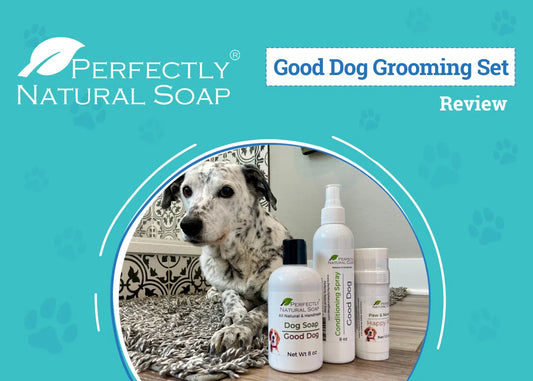 Good Dog Grooming Starter Set|Pets